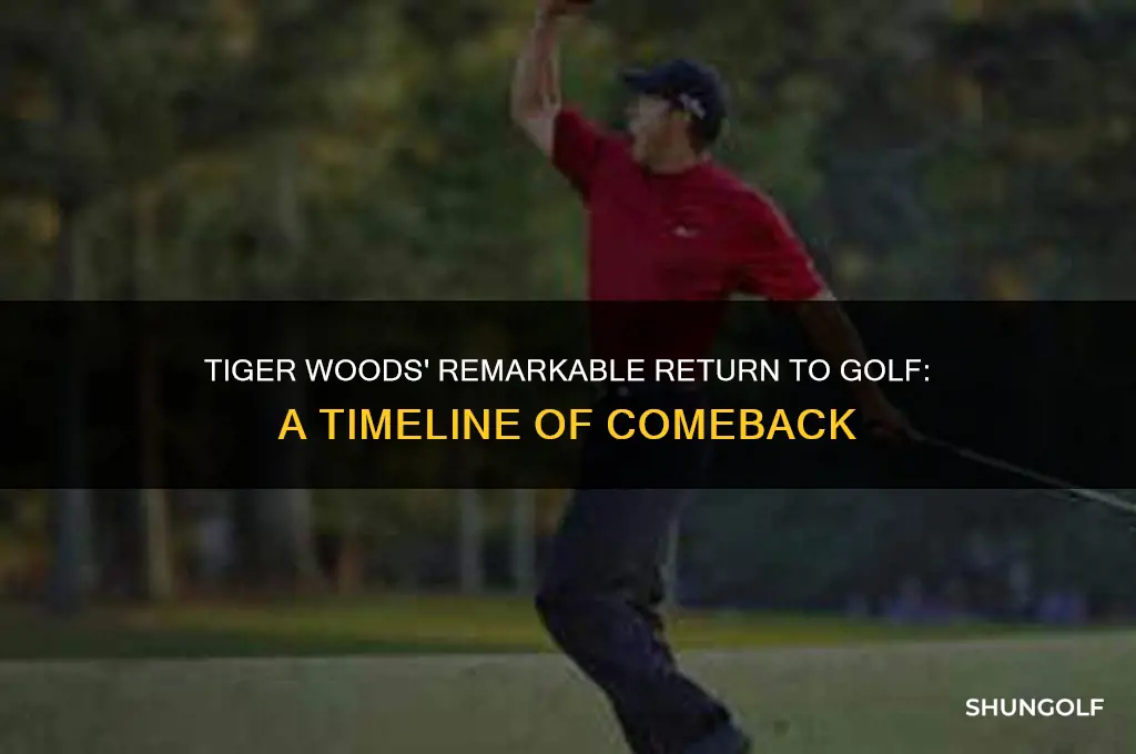 when did tiger woods come back to golf