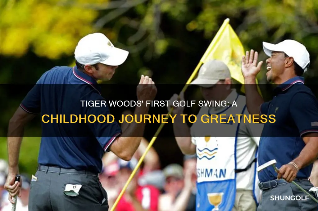 when did tiger woods first swing a golf club