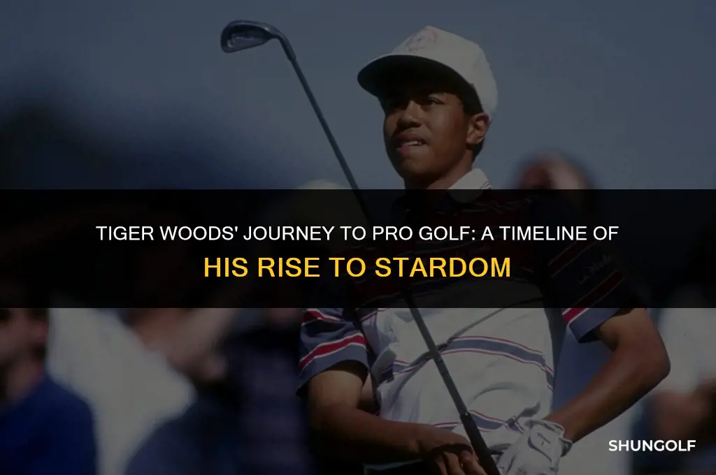 when did tiger woods start pro golf
