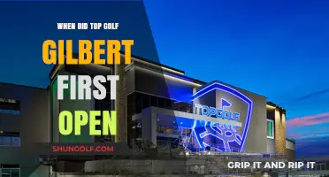 Topgolf Gilbert's Grand Opening: A Look Back at Its Debut
