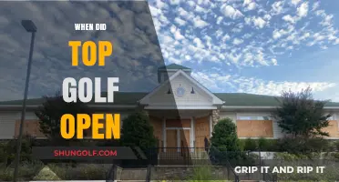 Topgolf's Journey: A Look at Its First Location and Opening