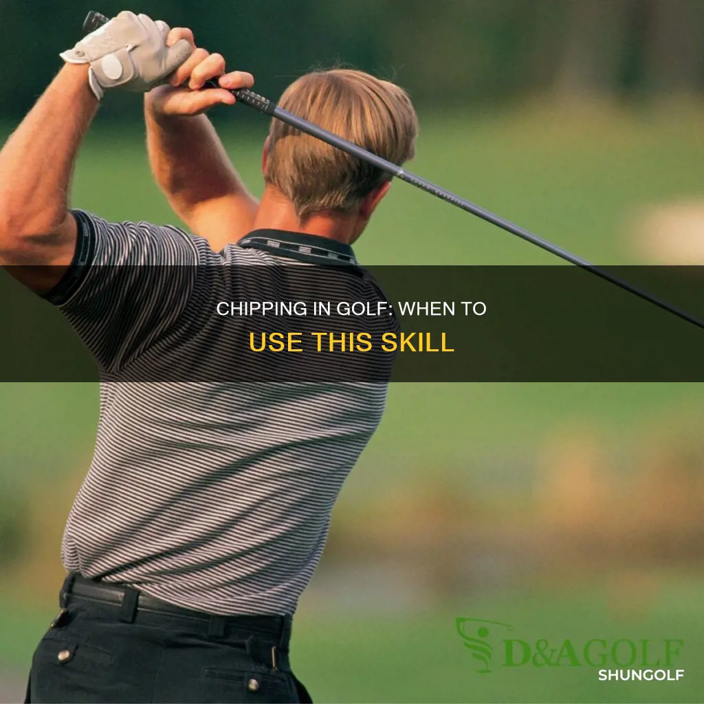 when do you chip in golf