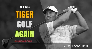 Tiger's Golf Comeback: When and Where?