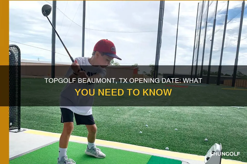 when does top golf bmt tx open