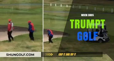 Trump's Golfing Habits: An Intriguing Insight