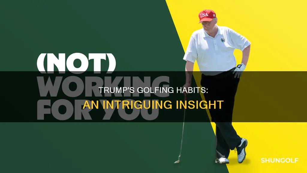 when does trumpt golf
