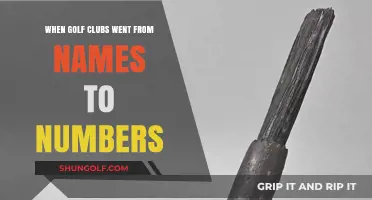 The Evolution of Golf Clubs: From Named Irons to Numbered Sets