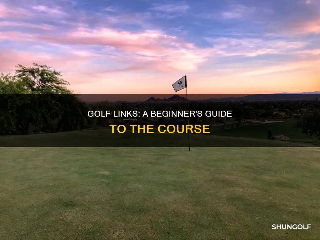 when golf links