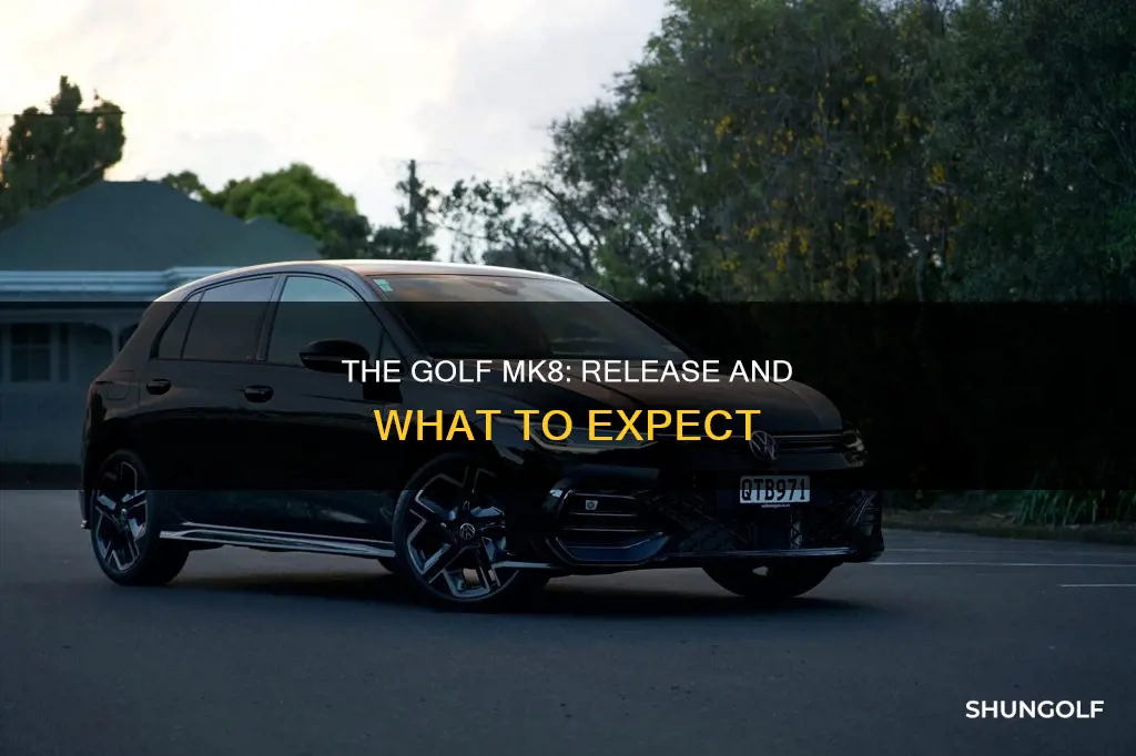 when golf mk8