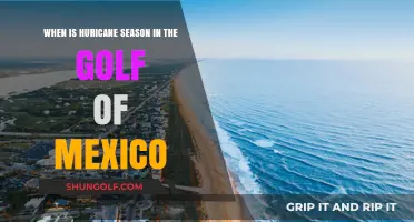 Hurricane Season in the Gulf of Mexico: Timing and Preparedness Tips