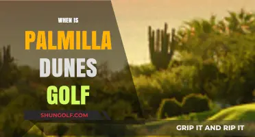 Palmilla Dunes Golf: A Course for All Seasons