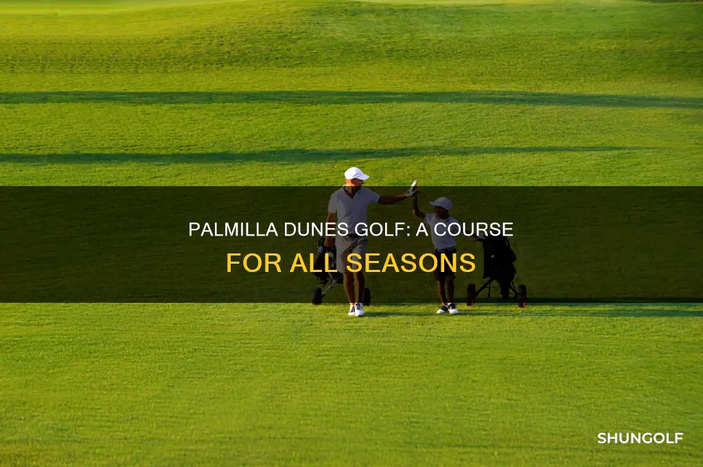 when is palmilla dunes golf