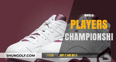 Players Championship: When's the Next Big Golf Event?