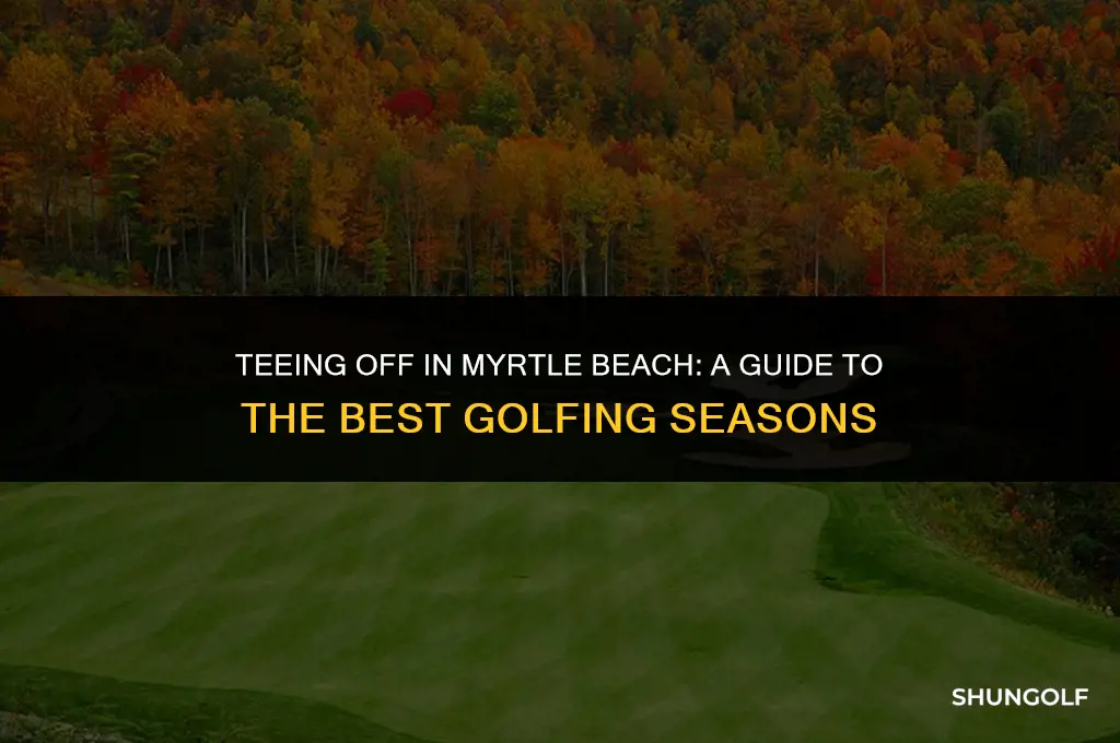 when is the best time to golf in myrtle beach