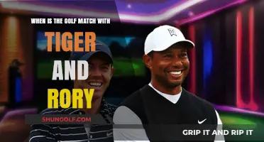 Tiger vs. Rory: Anticipated Golf Match Date Revealed