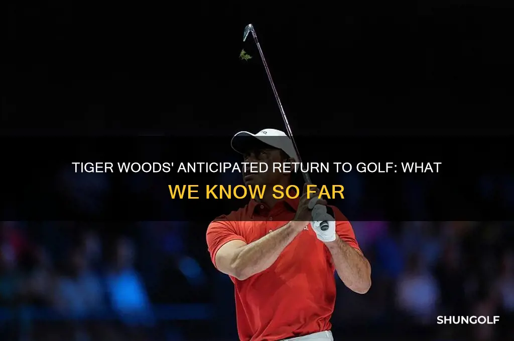 when is tiger woods expected to return to golf