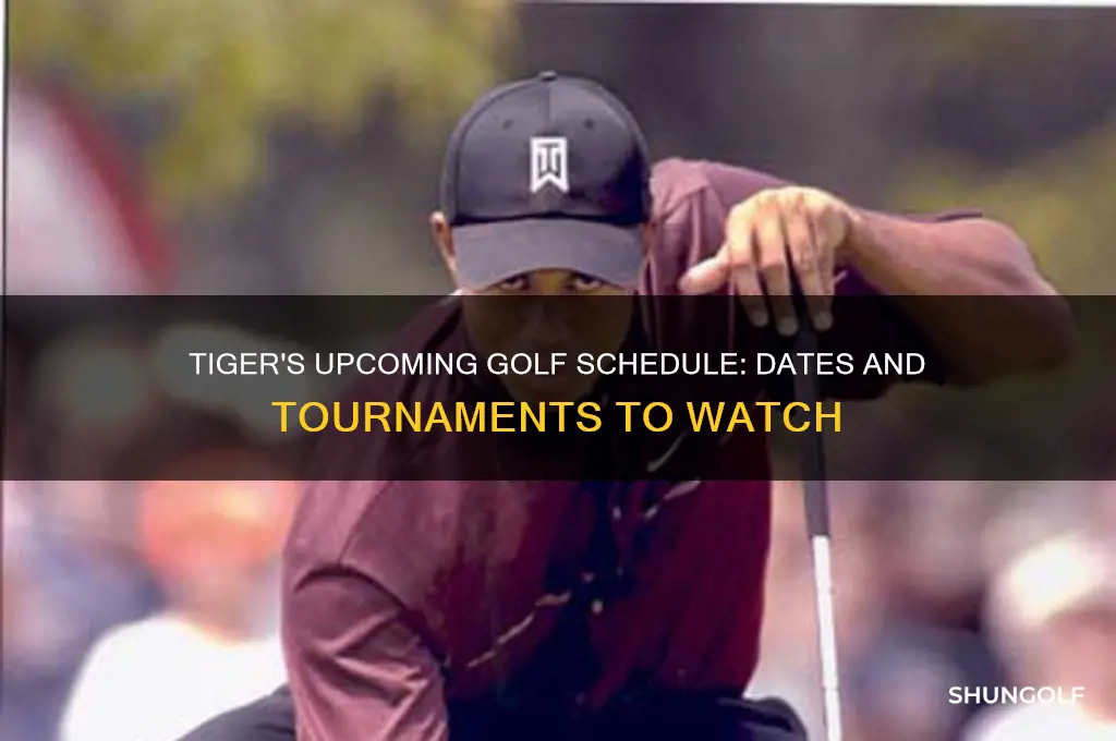 when is tigers next golf game