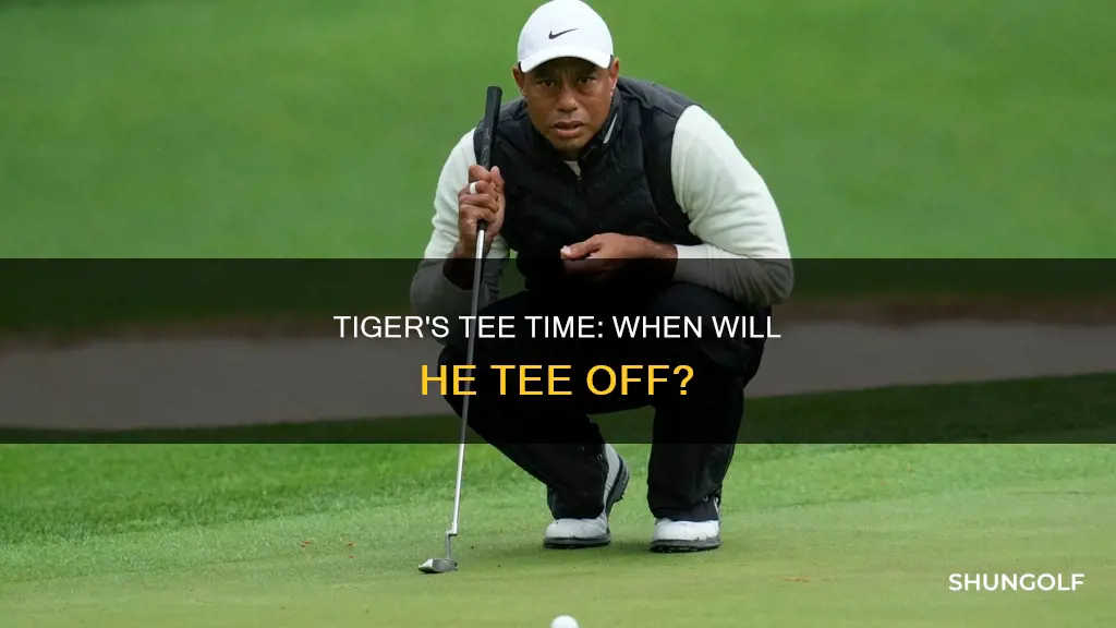 when is tiger