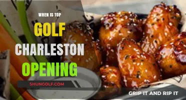 Topgolf Charleston Opening Date: What We Know So Far