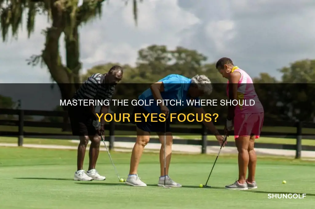when pitching where are the eyes focusing in golf