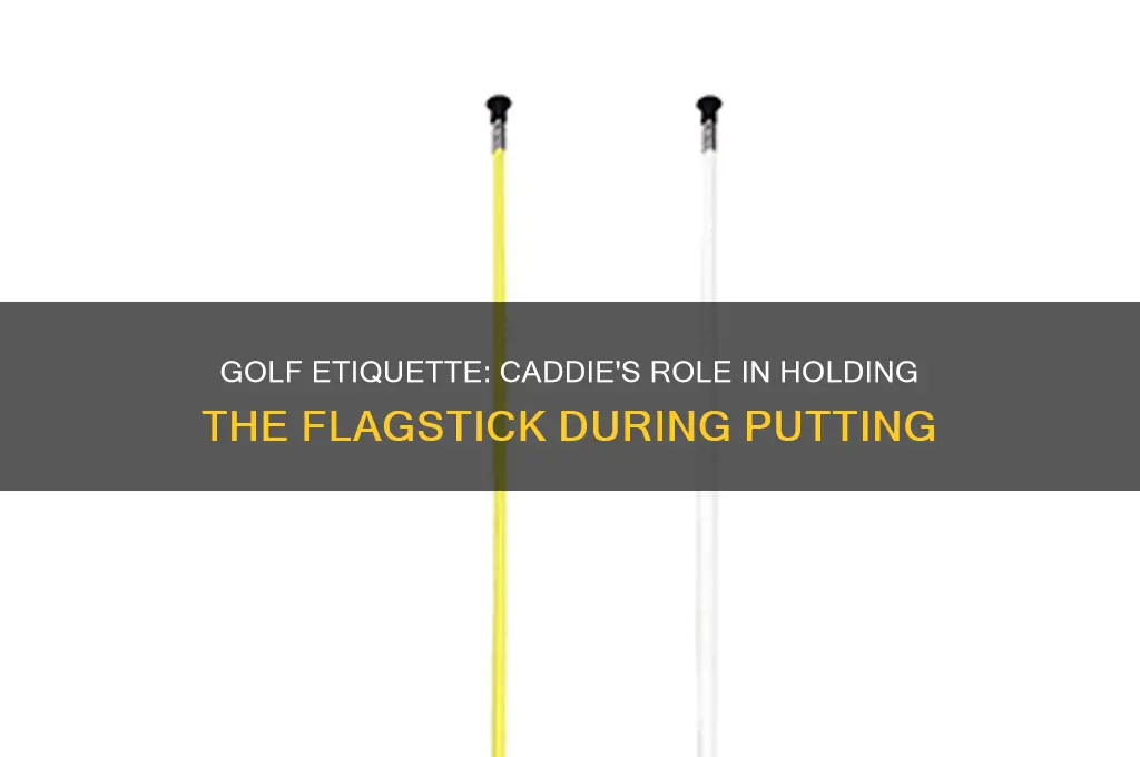 when putting iin golf whose cadd holds the flagstick