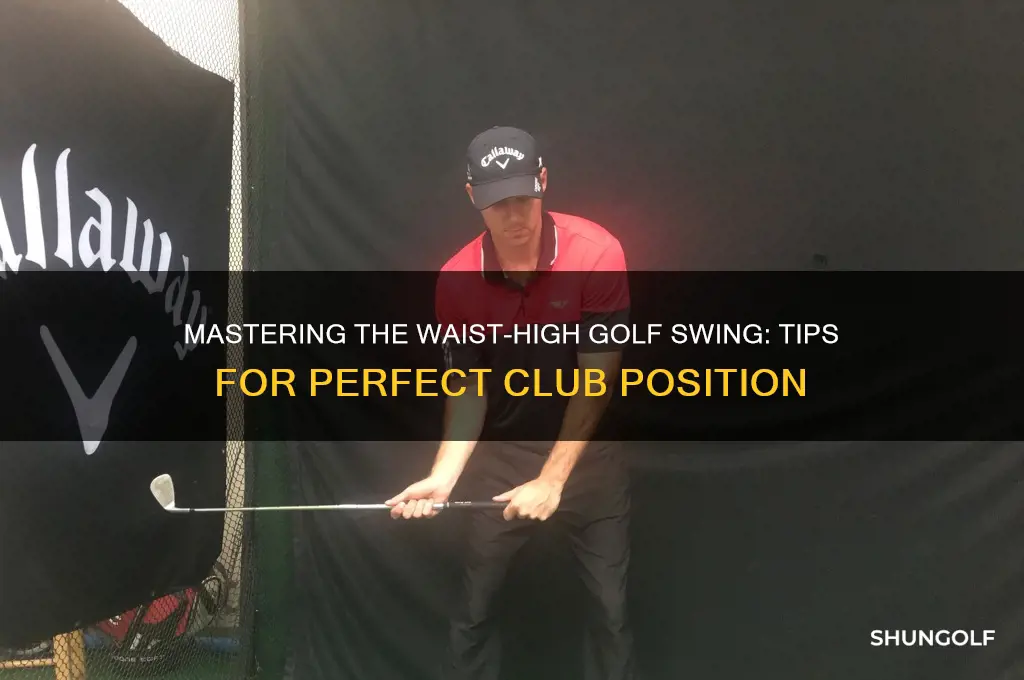 when the golf club is waist high