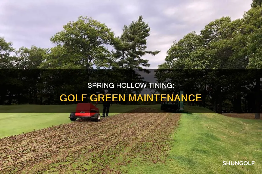 when to hollow tine golf greens