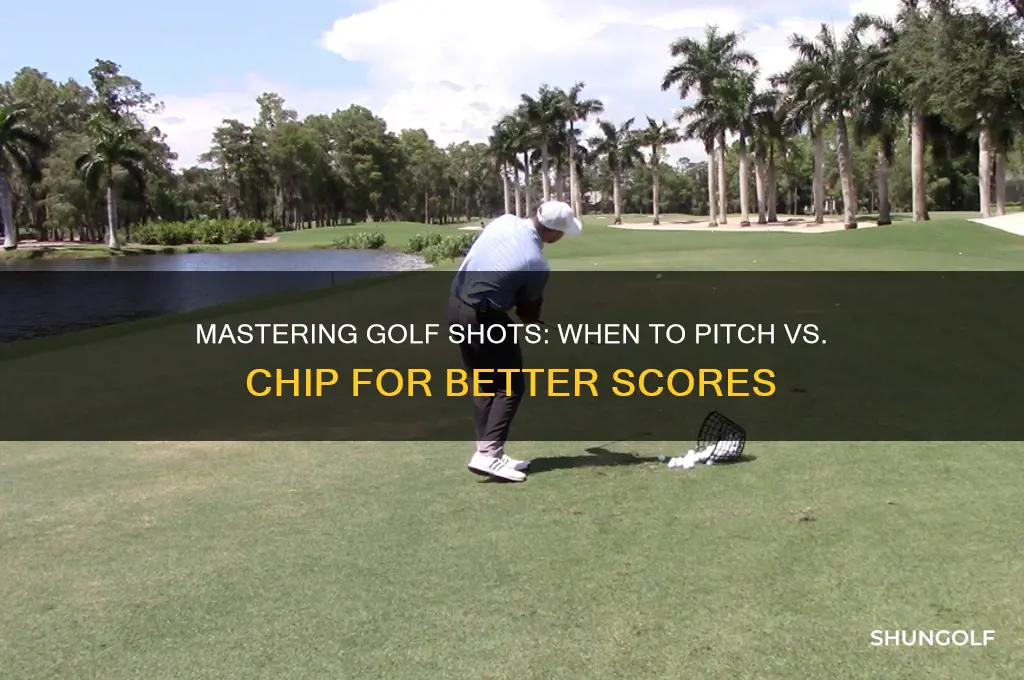 when to pitch vs chip in golf