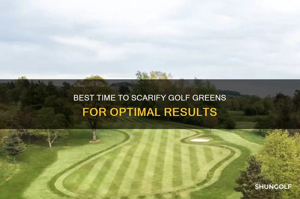 when to scarify golf greens