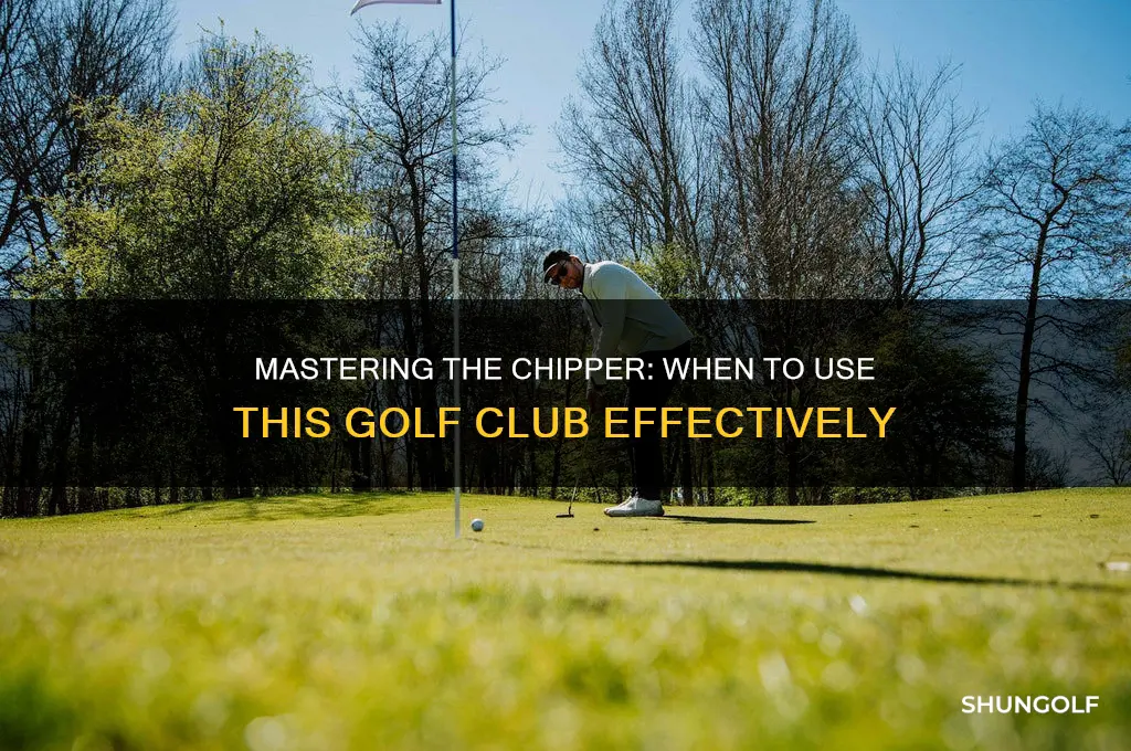 when to use a chipper golf club