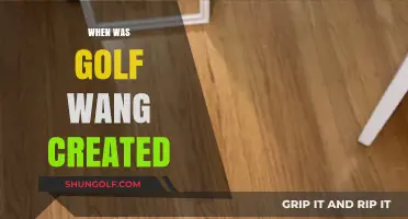 Golf Wang: A History of Tyler, the Creator's Brand