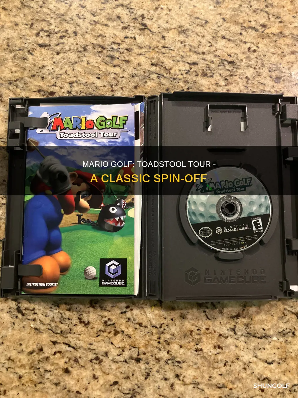 when was mario golf toadstool tour