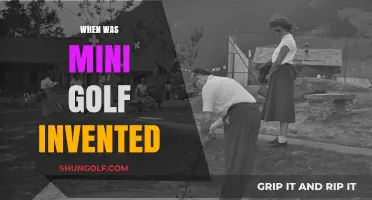 The Evolution of Mini Golf: A Historical Perspective