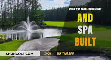 Discovering the Origins of Saddlebrook Golf and Spa's Construction
