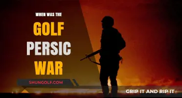 The Gulf Wars: A Historical Perspective