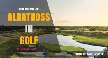 The Last Albatross in Golf: A Rare Feat's Recent History