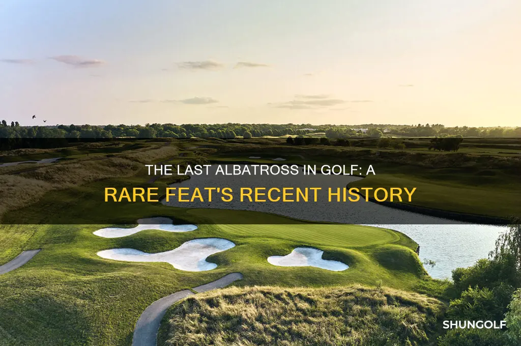 when was the last albatross in golf