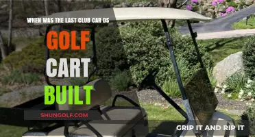 The Final Production Year of the Club Car DS Golf Cart