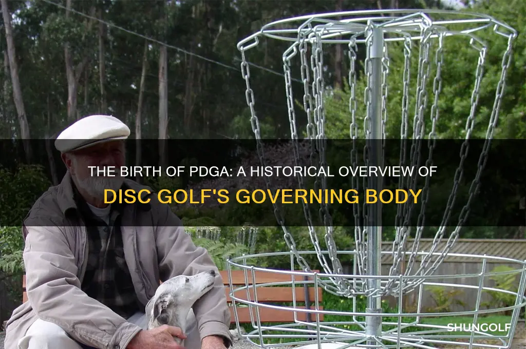 when was the professional dics golf association created