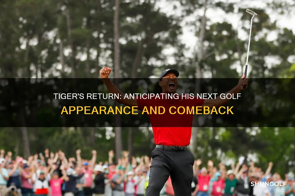 when will tiger play again