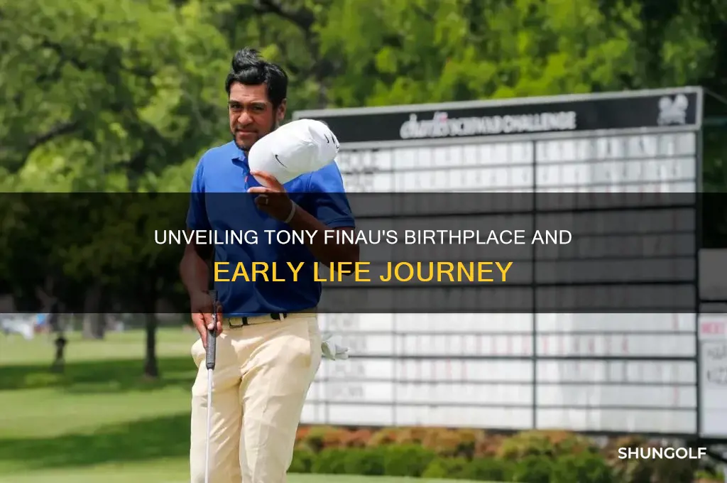 where and when was the golfer t finau born