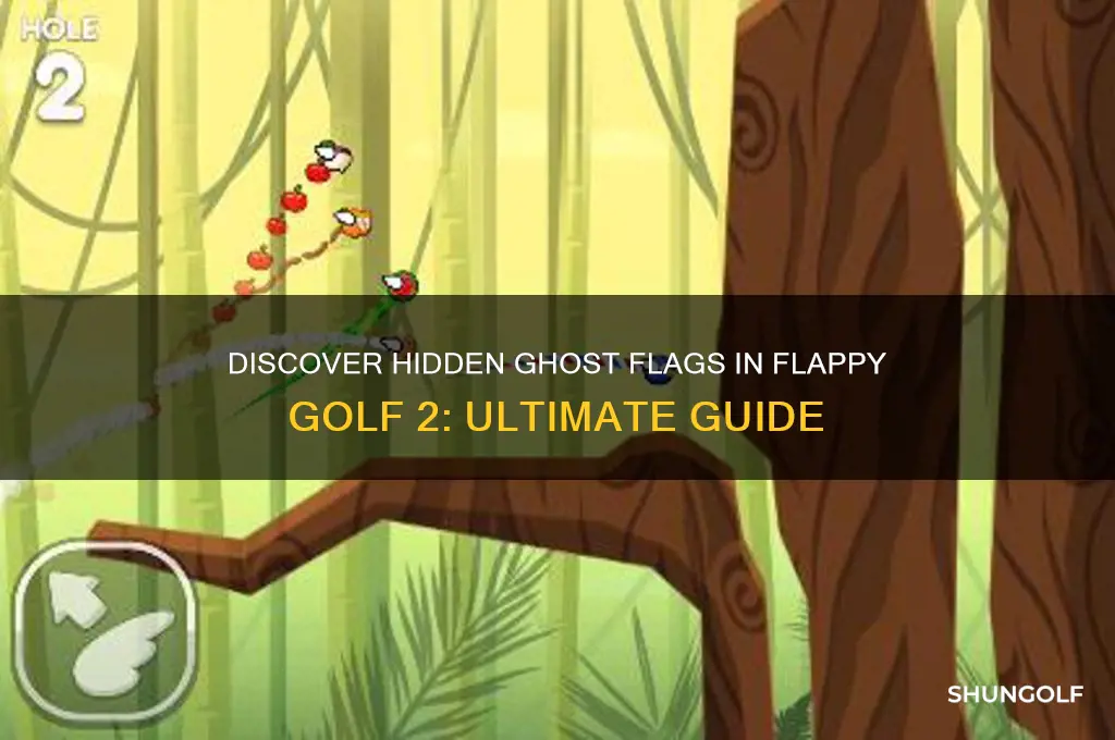 where are all the ghost flags in flappy golf 2