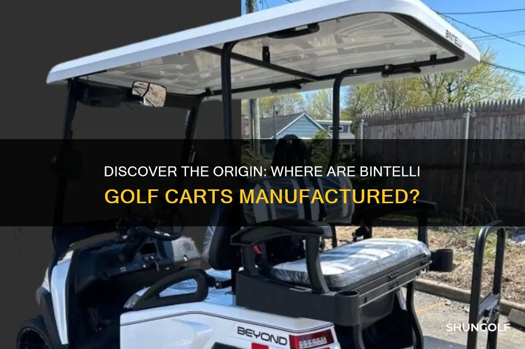 where are bintelli golf carts made