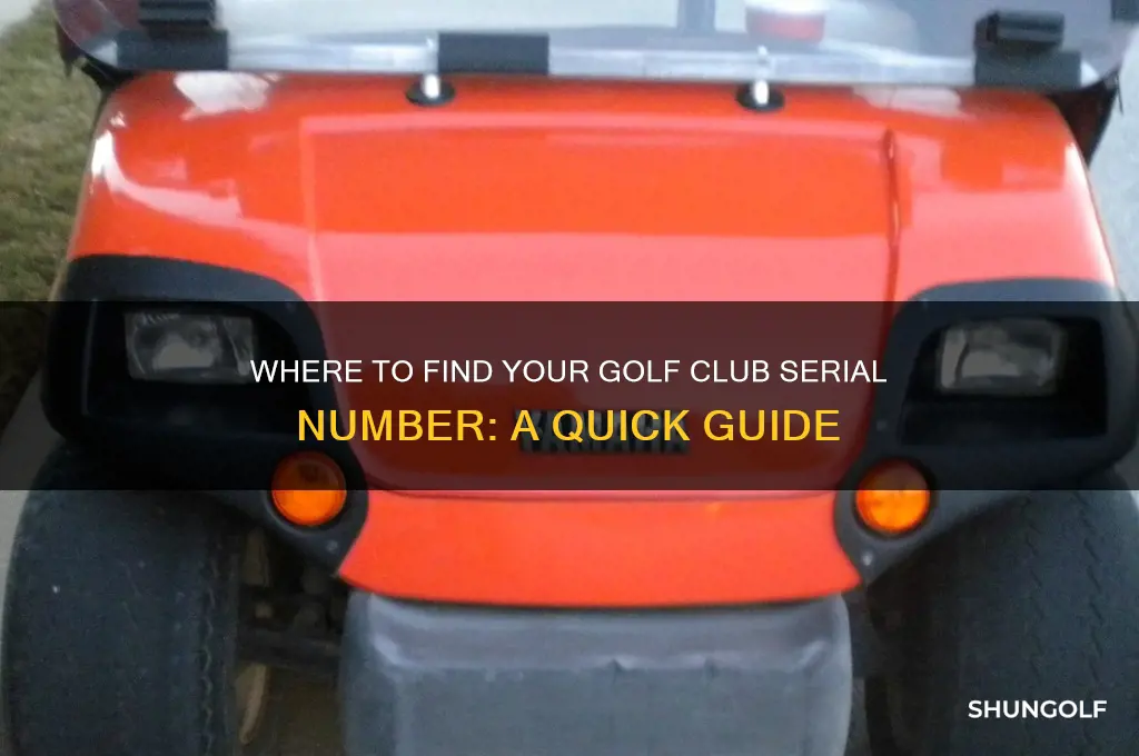 where are golf club serial number