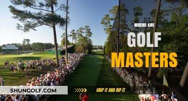 Golf Masters: Where Are They Now?