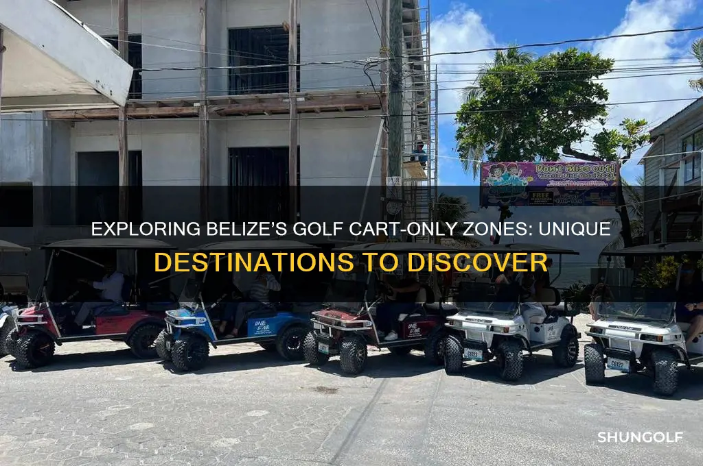 where are only golf carts allowed belize