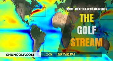 Exploring Global Ocean Currents Beyond the Gulf Stream's Reach