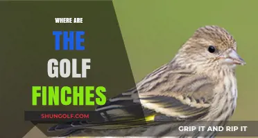 Golf Finches: Where Do They Go?