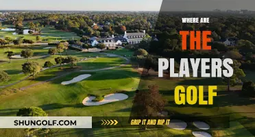 Golfers' Paradise: Where Pros Play and Stay