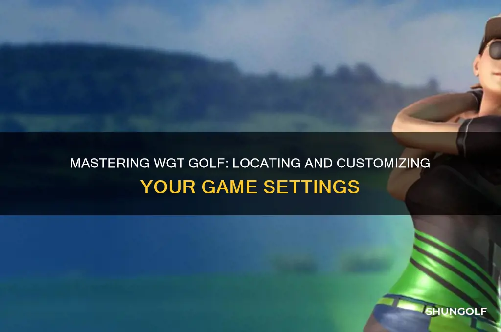 where are the settings for wgt golf